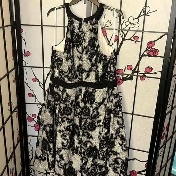 NWT City Chic Pretty Lace dress in black and white - Picture 5 of 13